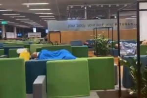 洛国富社媒发布阿姆斯特丹机场视频：恭喜相关人员