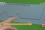 最差的一代？2000-2014中国常年参加足球训练中小学生仅5000人